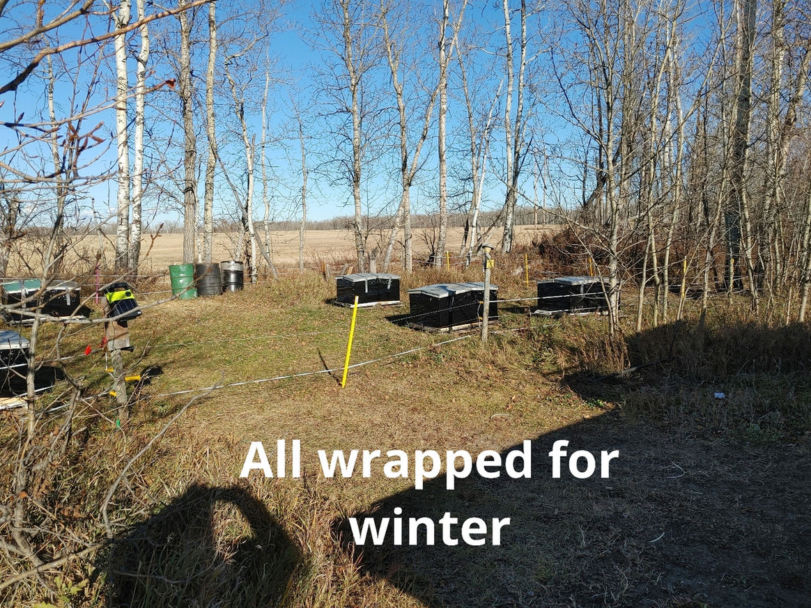 2021 Season photo 42